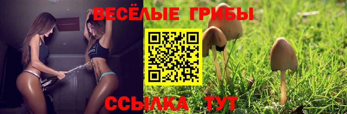 Галлюциногенные грибы Cubensis  Галлюциногенные грибы GOLDEN TEACHER  Вход с VPN  Красный Сулин 